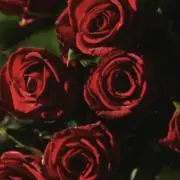 みや