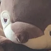 いっちの画像