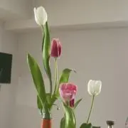 naaaの画像