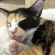 ユカの画像
