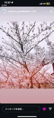 ちゃんみーの画像