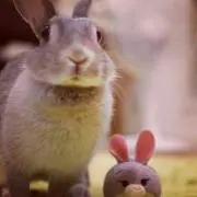 うさぎのリサ