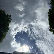 ぴたとん