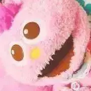 しのの画像