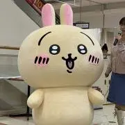 あいの画像