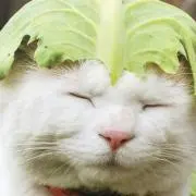 ひろみ