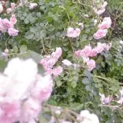 るんるん♡オーダー受付中の画像