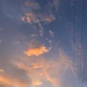 purinの画像