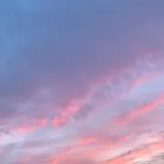 まの画像