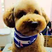 きょーこの画像