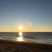 monstar