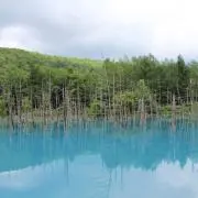 あおぼんの画像