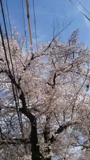 mieの画像