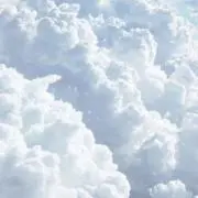 amuの画像