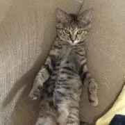まーさん