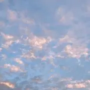 shiroの画像