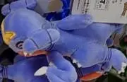 赤サメ