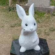 モコの画像