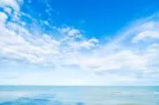 かめの画像