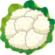 SAELSの画像