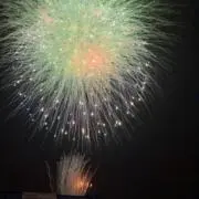 はっぴーの画像