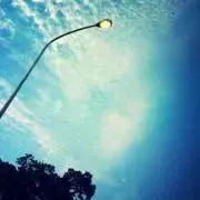 ユキの画像