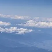 やすの画像