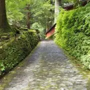 ななみの画像