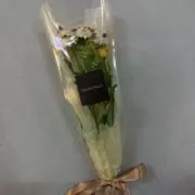 ちかのの画像