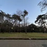 かすすの画像