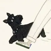 堀江さん家の画像