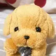 りりの画像