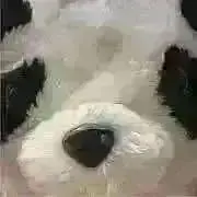 ⭐︎⭐︎⭐︎★の画像