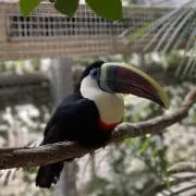 icky407の画像