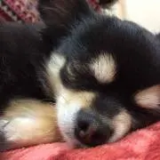 りんぼー♥︎プロフ必読の画像