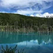 まー【プロフ必読】の画像