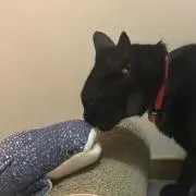 ひま