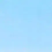 Sの画像