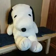 にゃんこ