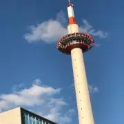 メメの画像