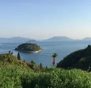 luz8848の画像