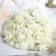 ♡pipi♡の画像