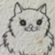 ハンカチ2Bの画像