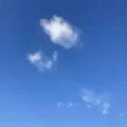ももやんの画像