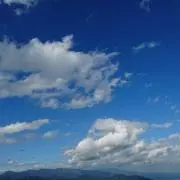 りんごの画像