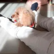 TMmama♡の画像