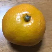 みかん
