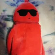 Y Y※プロフ一読お願いしますの画像