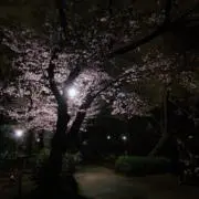 うろの画像