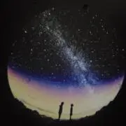 ササニシキの画像